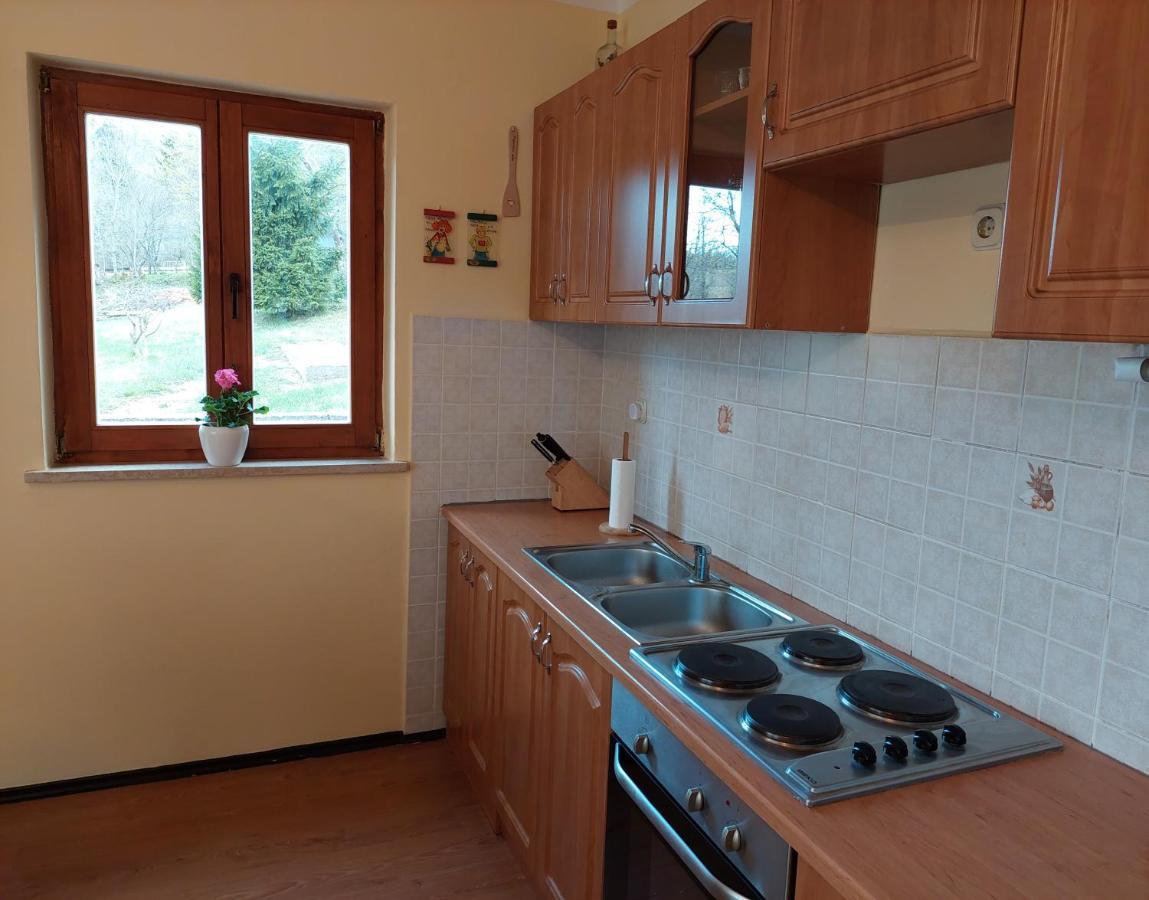 Holiday Home Cancarevic Ravna Gora Exteriör bild